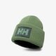 dětská čepice HELLY HANSEN ČEPICE HH BOX BEANIE 53648406 barva zelená