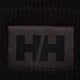 dětská čepice HELLY HANSEN ČEPICE HH BOX BEANIE 53648990 barva černá